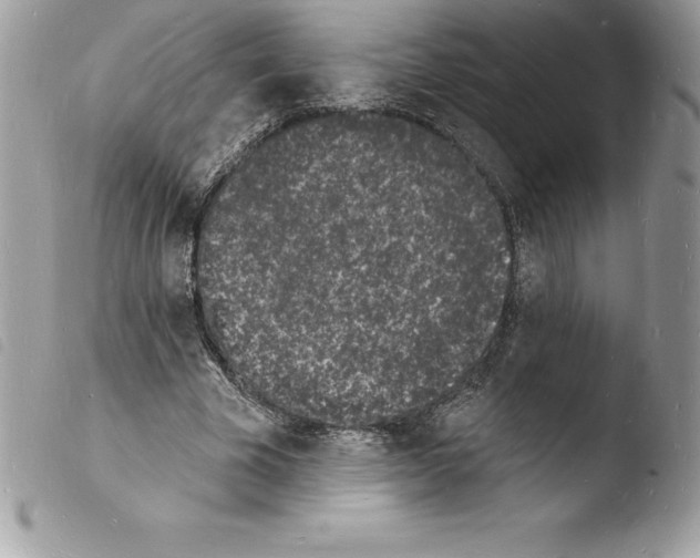 X0000103970585200810171927