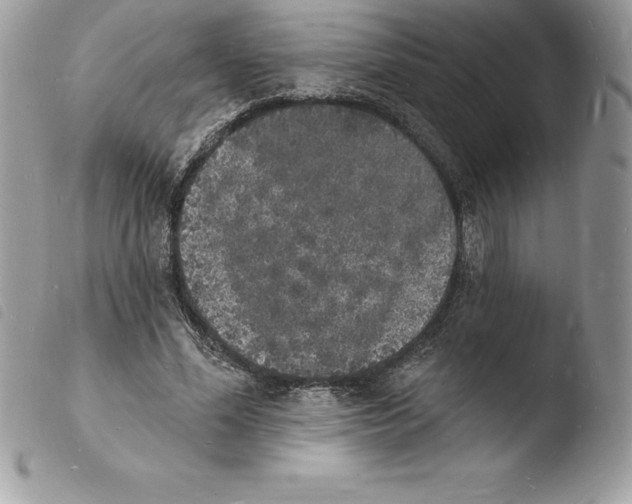 X0000103970588200810171927