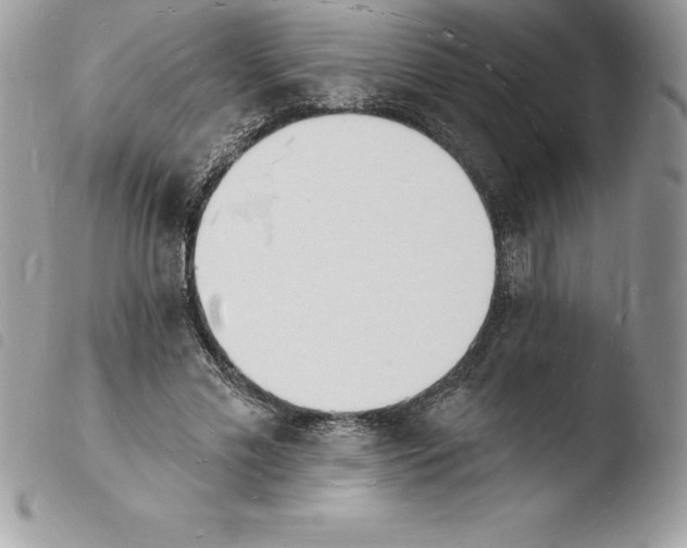 X0000103970589200810171927