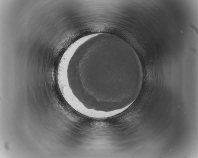 X0000103970590200810171927