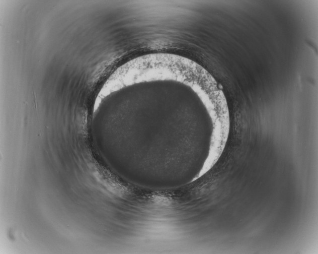 X0000103970592200810171927