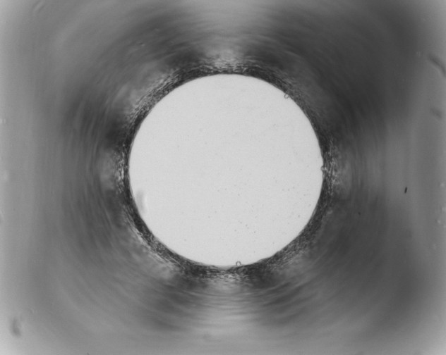 X0000103970593200810171927