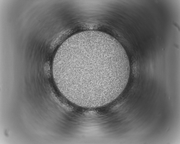 X0000103970594200810171927
