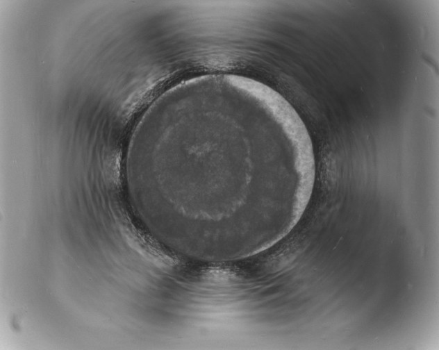 X0000103970596200810171927
