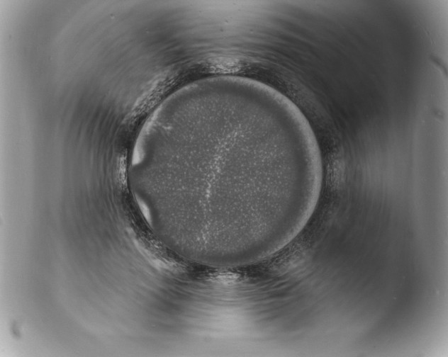 X0000103970598200810171927