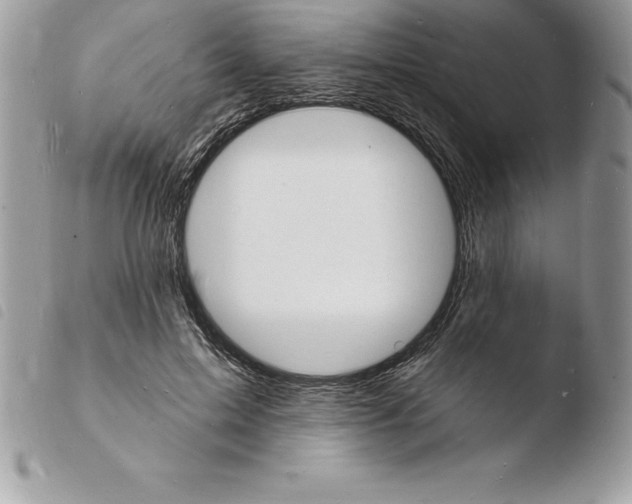 X0000103970599200810171927