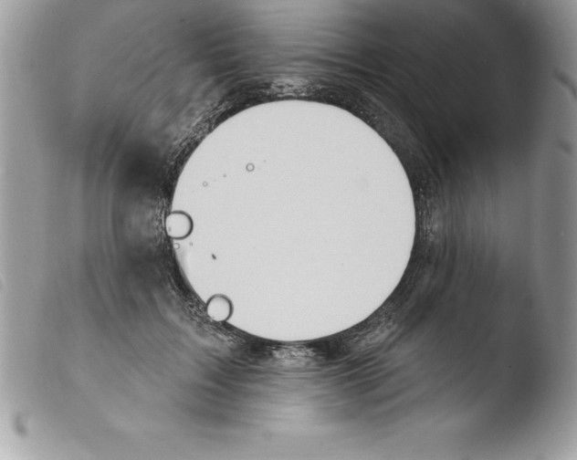 X0000103970603200810171927