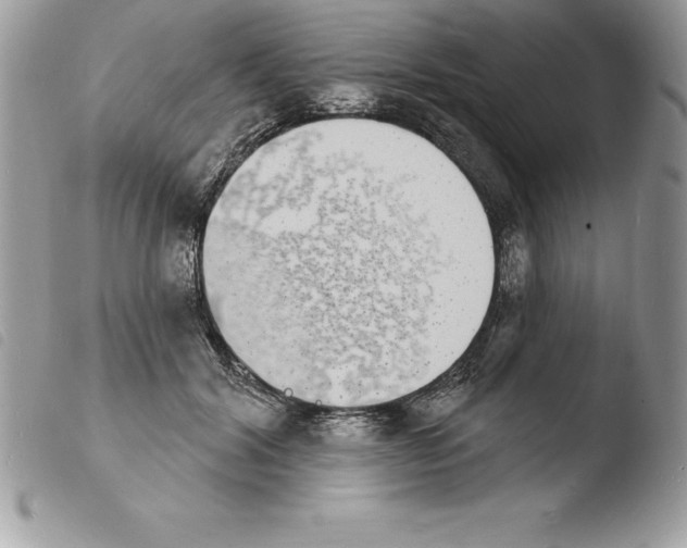X0000103970604200810171927