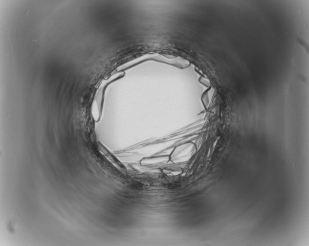 X0000103970605200810171927