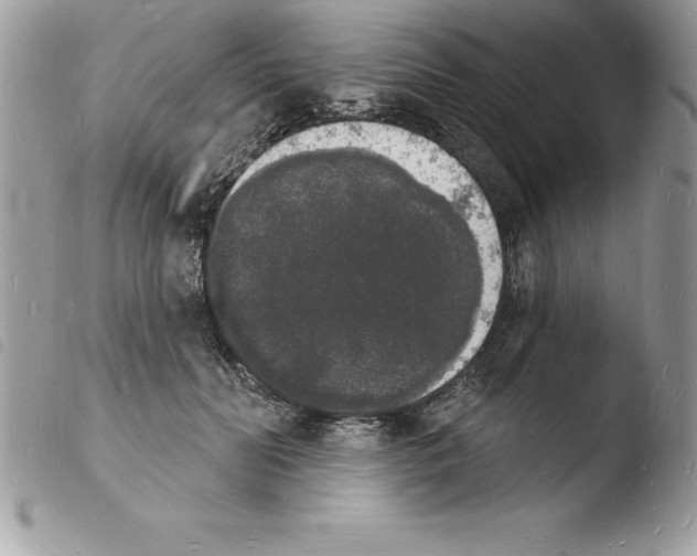 X0000103970606200810171927