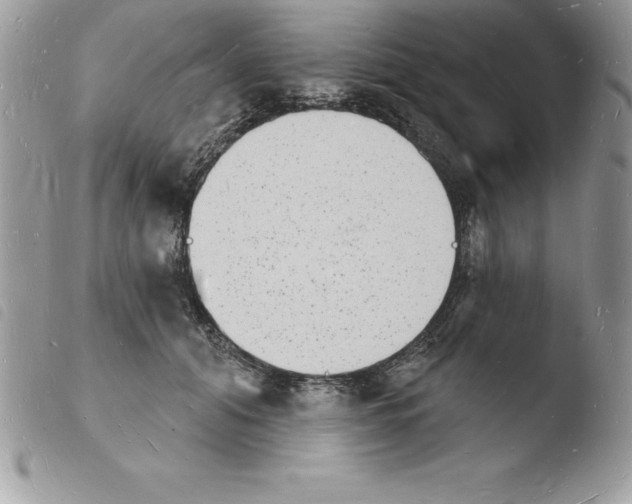 X0000103970608200810171926