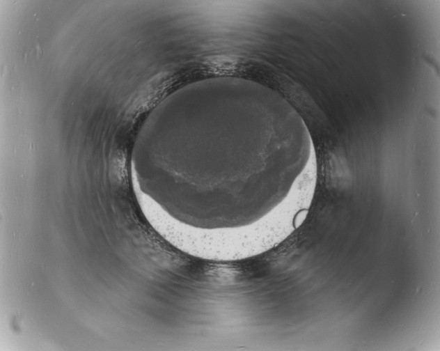 X0000103970610200810171926