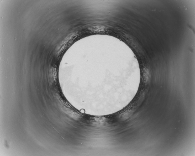 X0000103970612200810171926