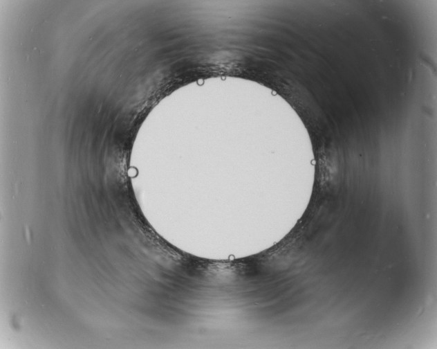 X0000103970613200810171926