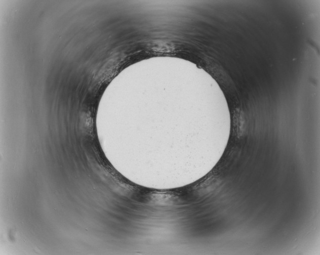 X0000103970614200810171926