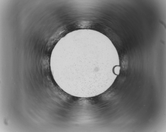 X0000103970620200810171926