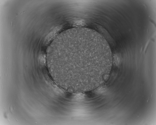 X0000103970621200810171926