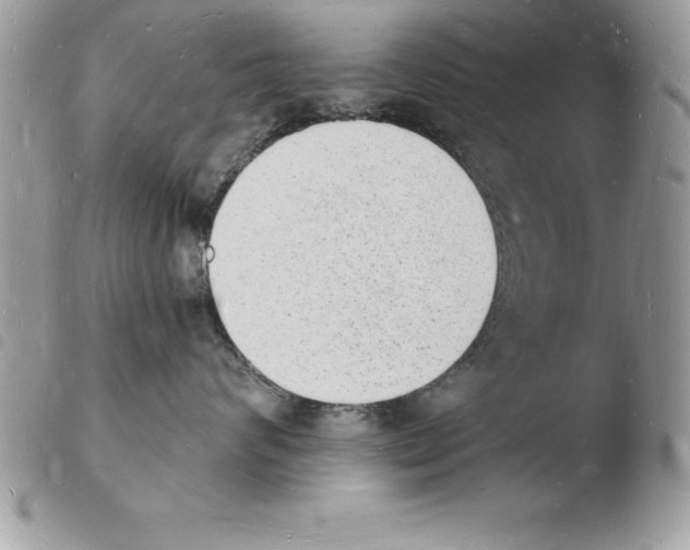 X0000103970624200810171926