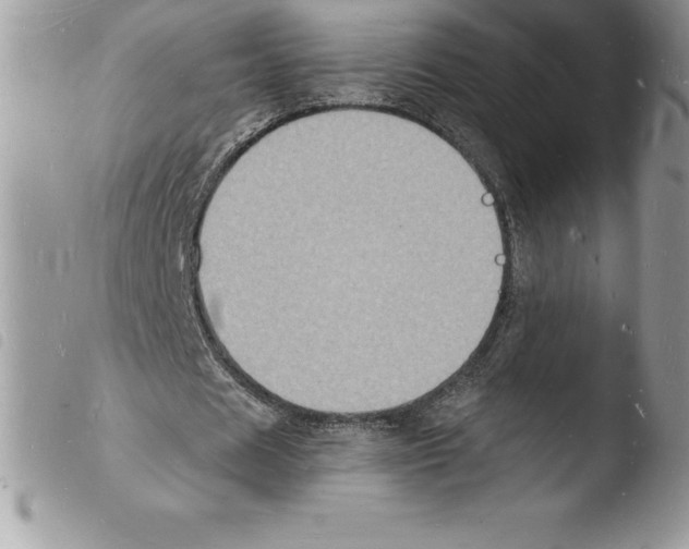 X0000103970625200810171925