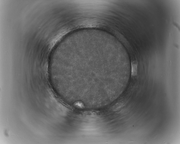 X0000103970627200810171925