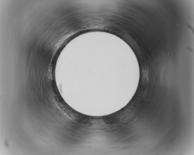 X0000103970628200810171925