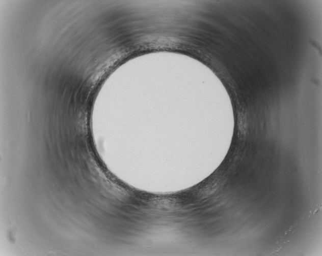 X0000103970629200810171925