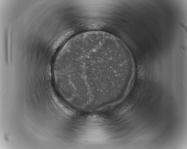 X0000103970634200810171925