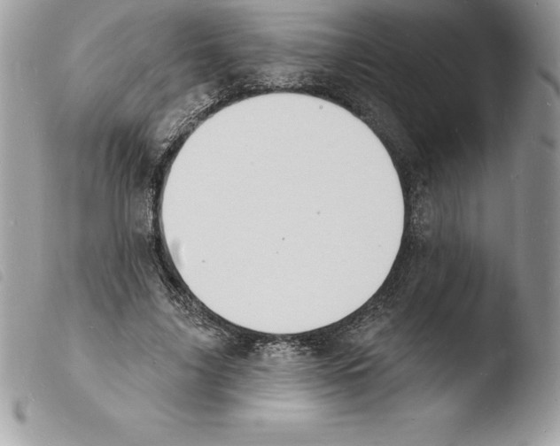 X0000103970635200810171925