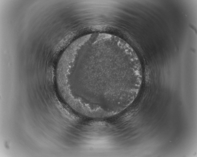 X0000103970637200810171925