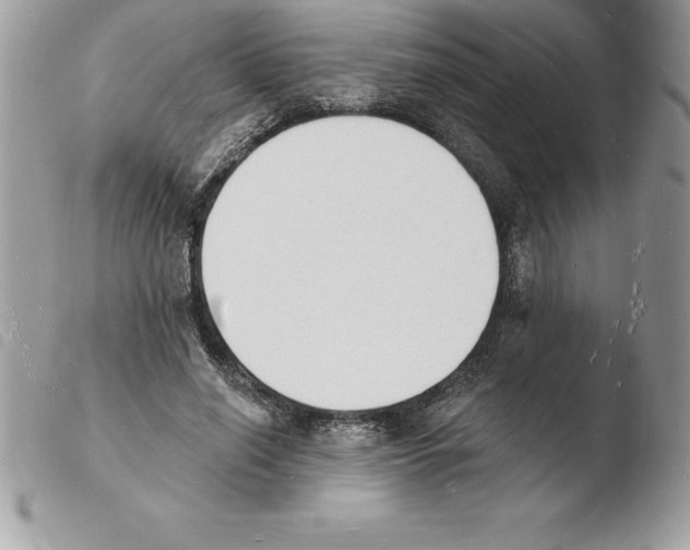 X0000103970638200810171925