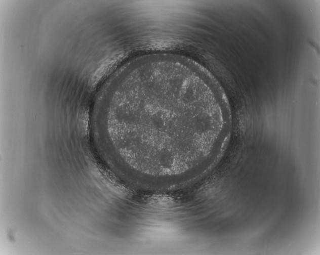 X0000103970640200810171925