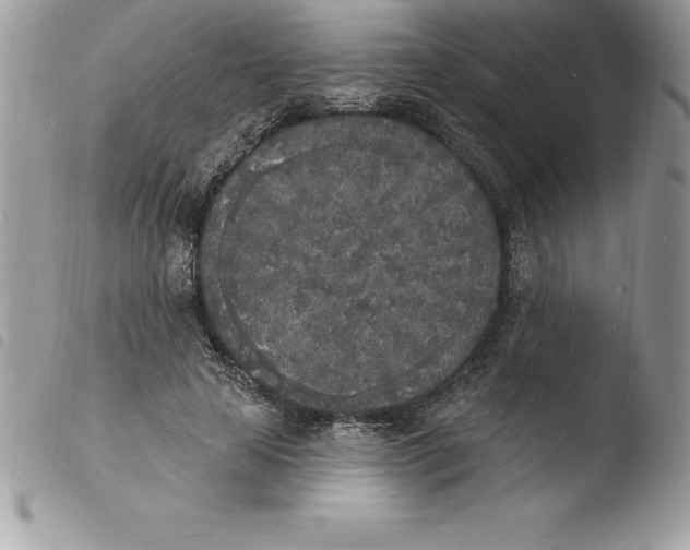 X0000103970641200810171925