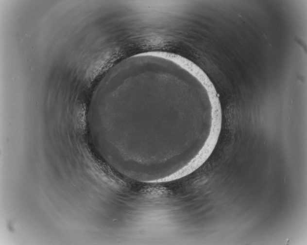 X0000103970642200810171925