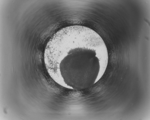 X0000103970643200810171926