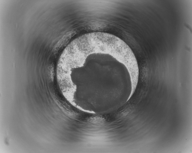 X0000103970644200810171926