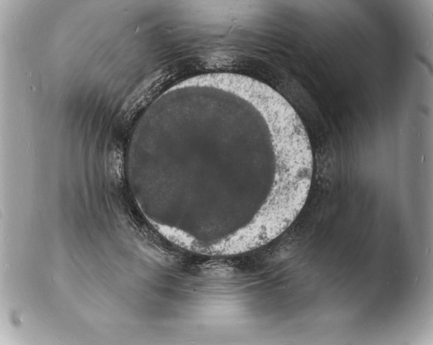 X0000103970648200810171926