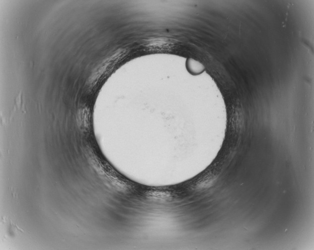 X0000103970649200810171926