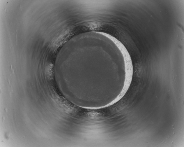 X0000103970650200810171926
