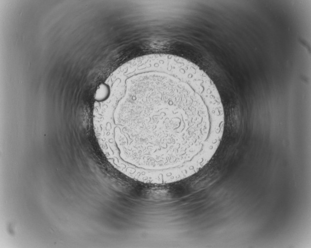 X0000103970651200810171926