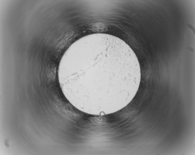 X0000103970652200810171926