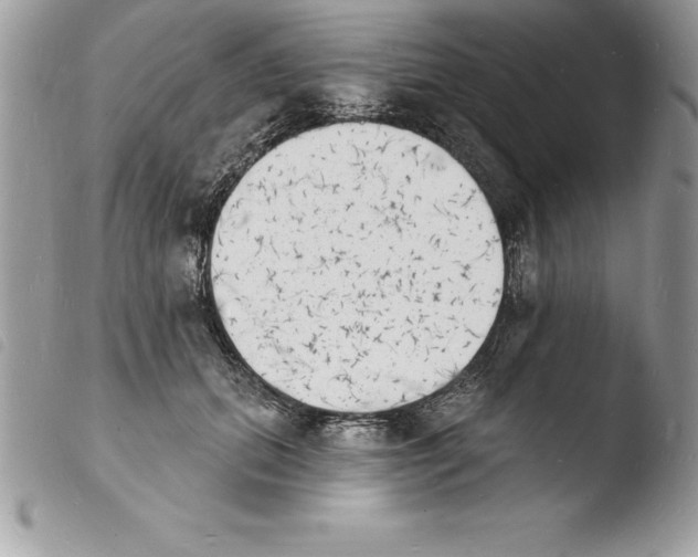 X0000103970655200810171926