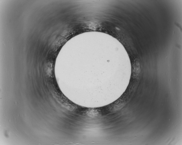 X0000103970656200810171926