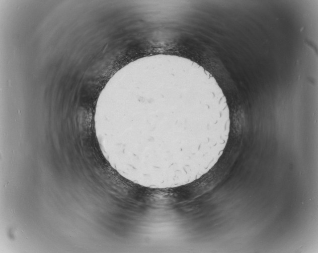X0000103970657200810171926