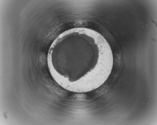 X0000103970659200810171926