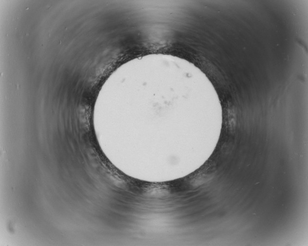 X0000103970664200810171926