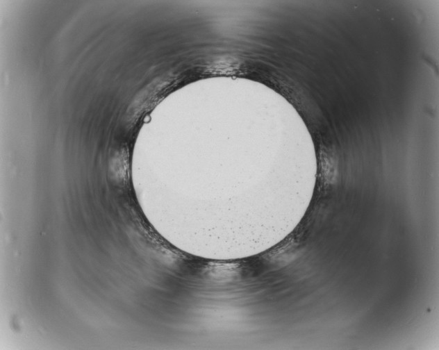 X0000103970665200810171926