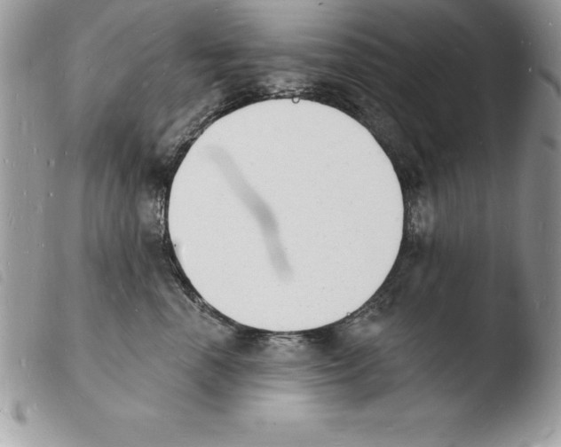 X0000103970666200810171926