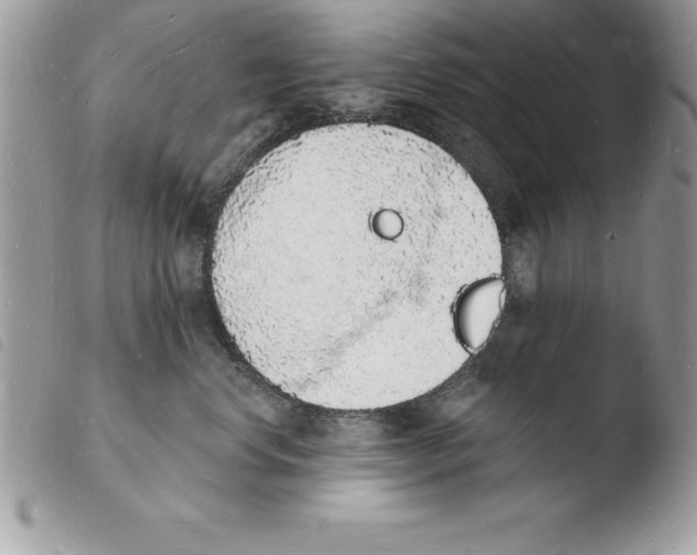 X0000103970668200810171926
