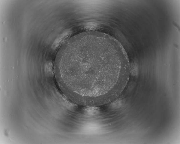 X0000103970670200810171926
