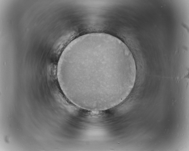 X0000103970672200810171926